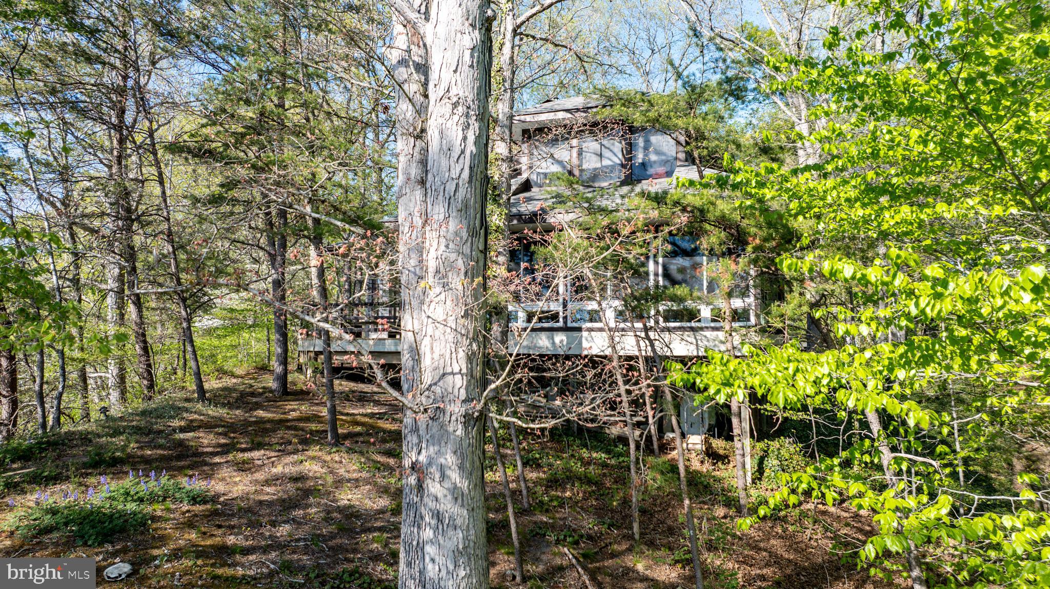 25305 Sandy Point Road Greensboro, MD 21639 - Photo 22 of 92 Gallery Image 22