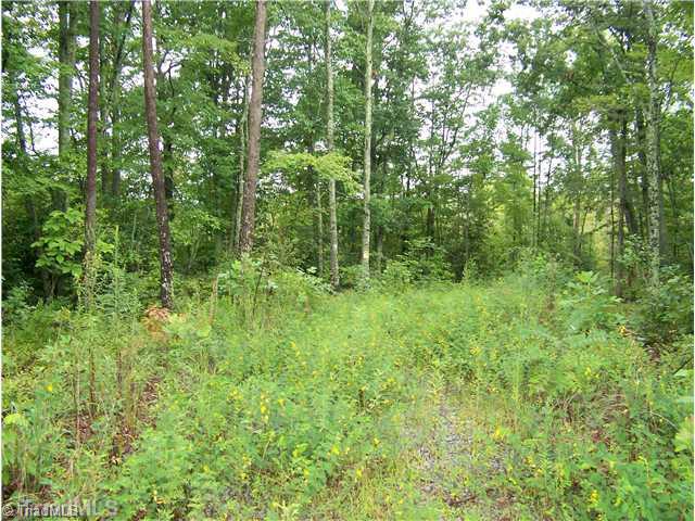 Xx Inman Road Mount Airy, NC 27030 - Photo 2 of 3 Land.