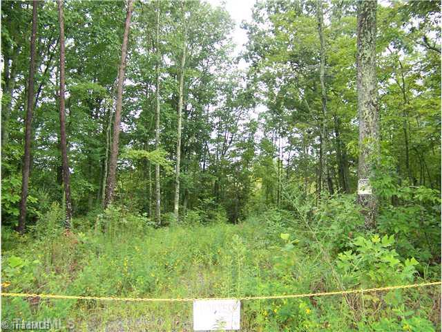 Xx Inman Road Mount Airy, NC 27030 - Photo 3 of 3 Land/Lot.