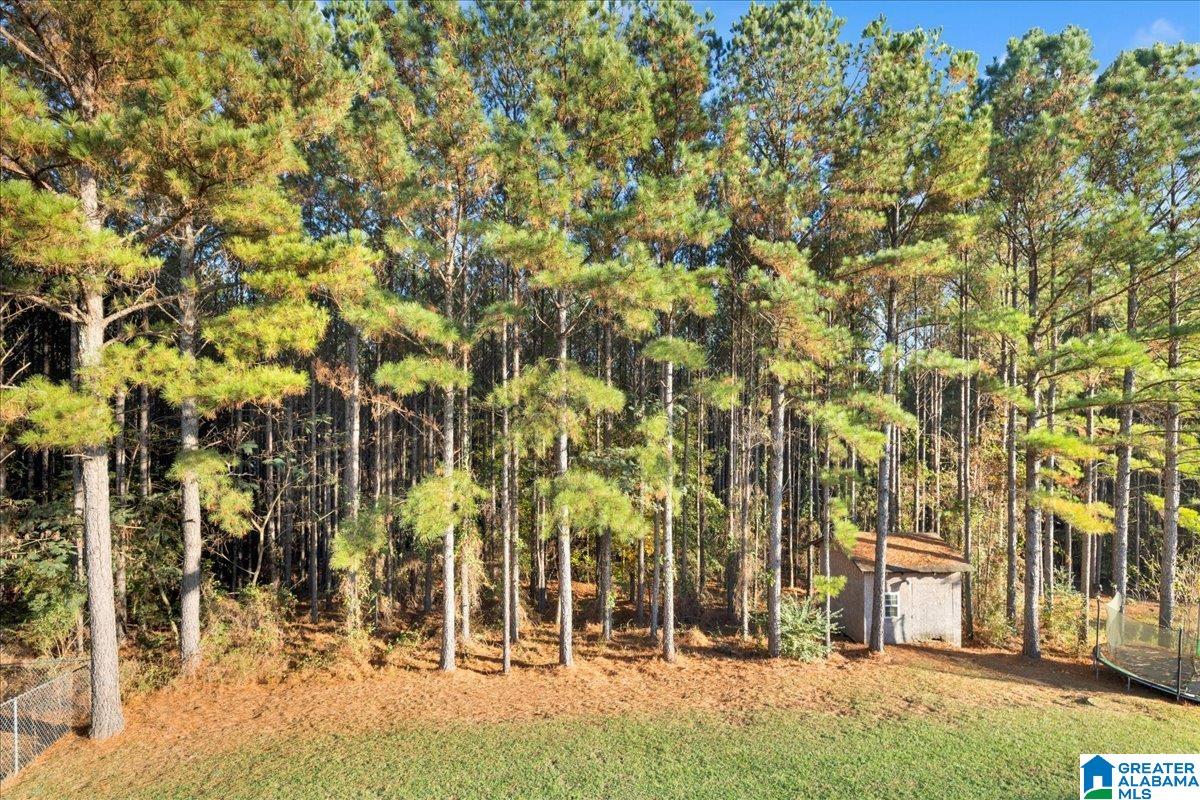 7050 Old Acton Road Moody, AL 35004 - Photo 20 of 32