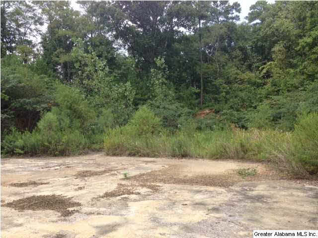 831 Old Grants Mill Road Birmingham, AL 35210 - Photo 1 of 4