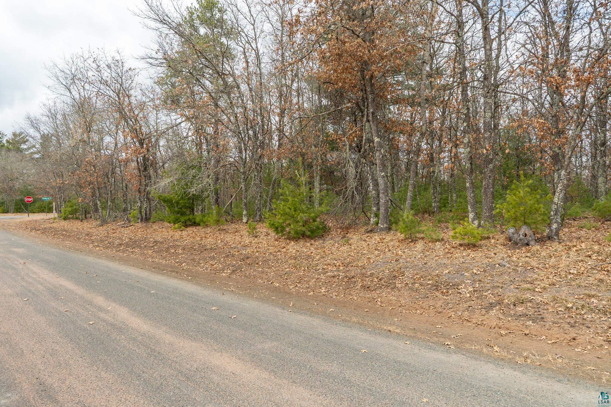 Lot 1 South Madison Avenue Gordon, WI 54838 - Photo 6 of 8