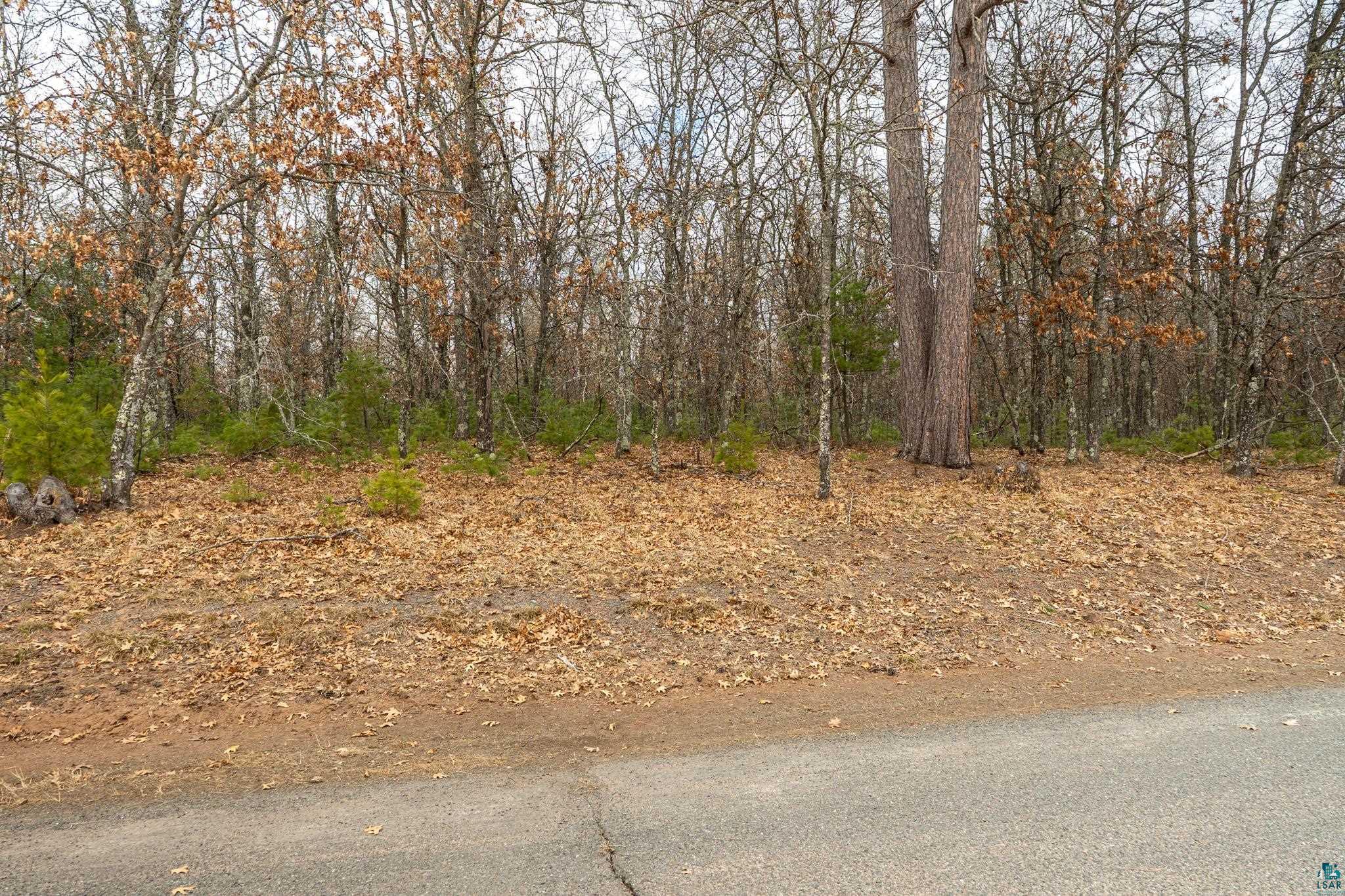 Lot 1 South Madison Avenue Gordon, WI 54838 - Photo 7 of 8