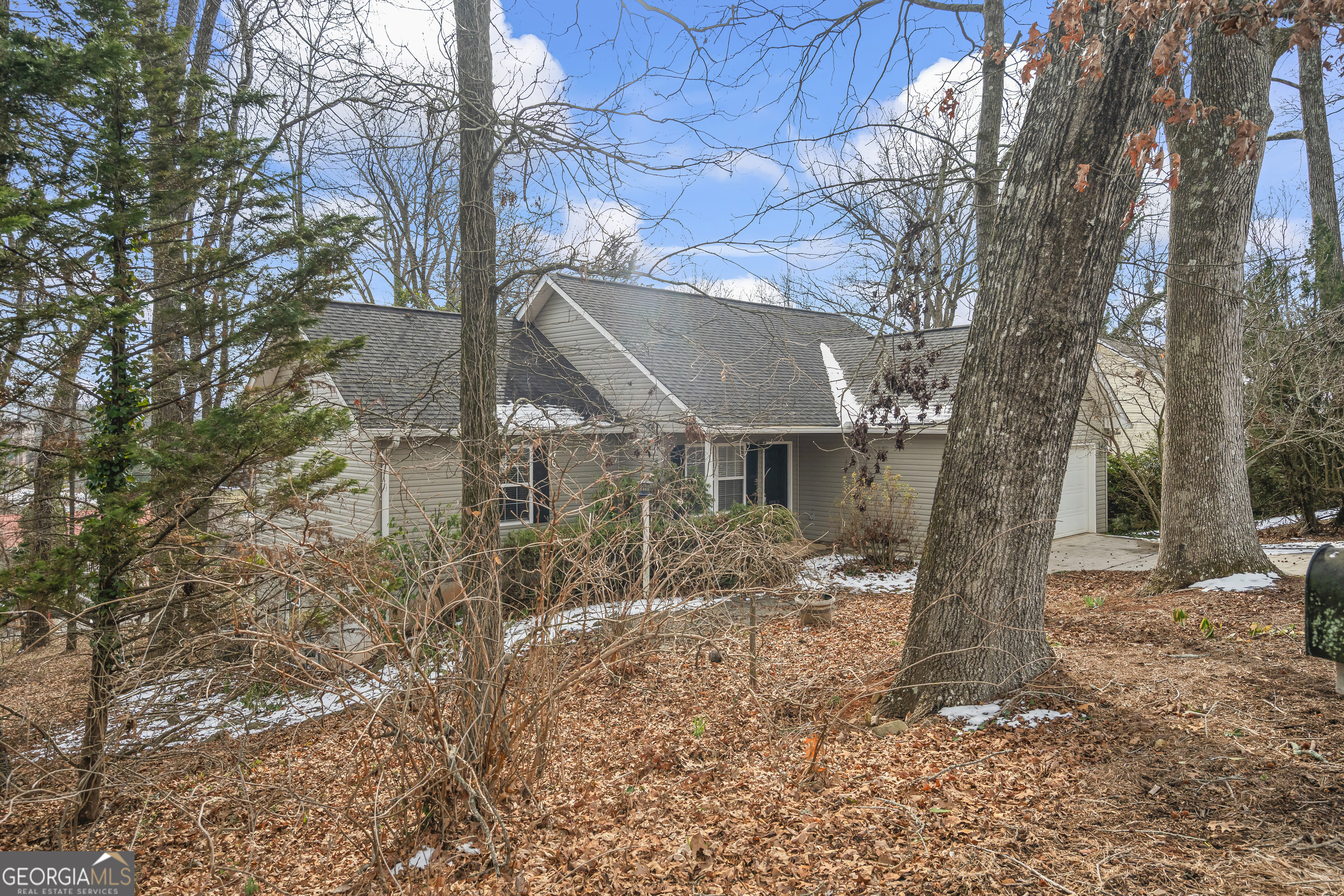 210 Blue Ridge Avenue Demorest, GA 30535 - Photo 53 of 74 a view of a outdoor space with a tree
