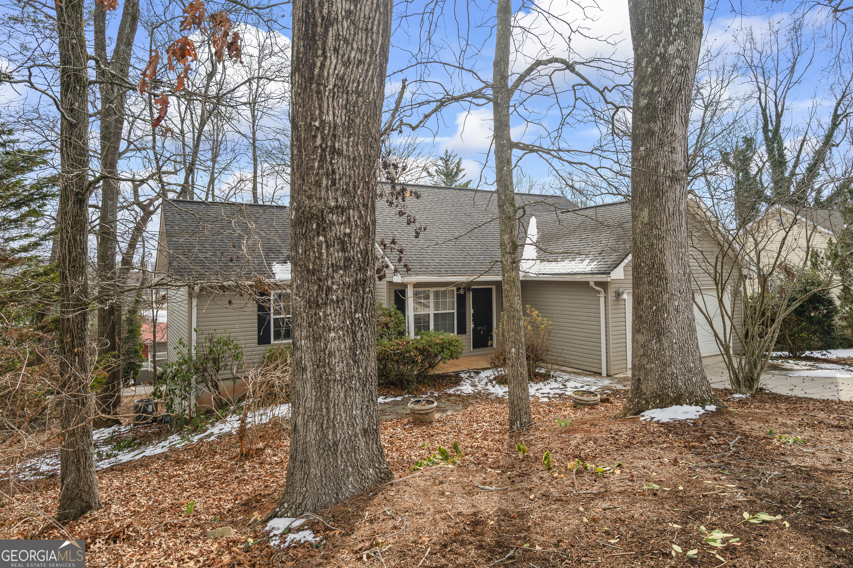 210 Blue Ridge Avenue Demorest, GA 30535 - Photo 54 of 74 a view of a house with a yard covered in snow