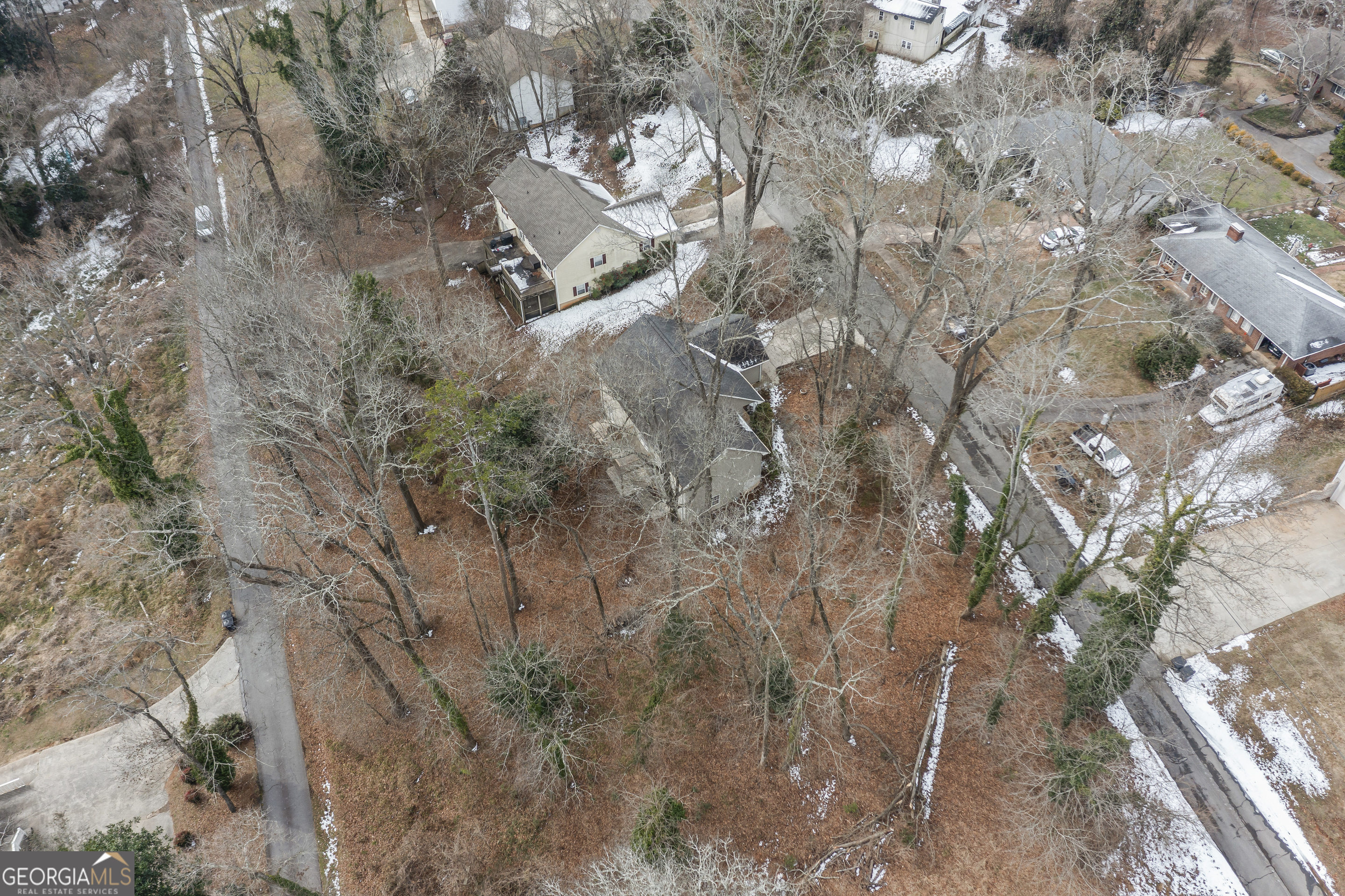 210 Blue Ridge Avenue Demorest, GA 30535 - Photo 58 of 74 a view of a tree in a yard
