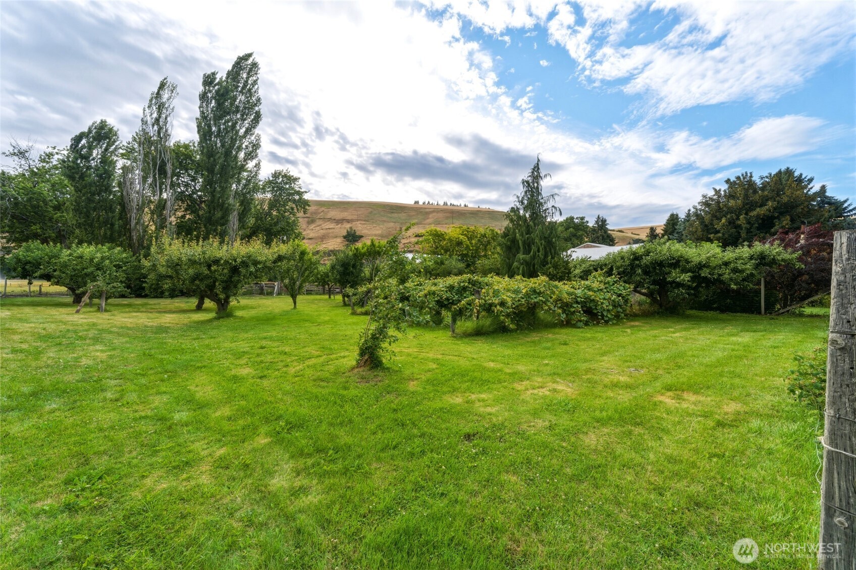 730 Pittman Road Dayton, WA 99328 - Photo 36 of 40