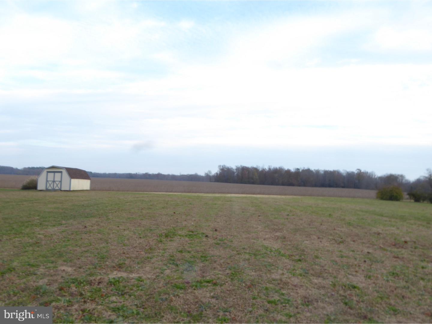4366 Carpenter Bridge Road Felton, DE 19943 - Photo 7 of 19 Gallery Image 7