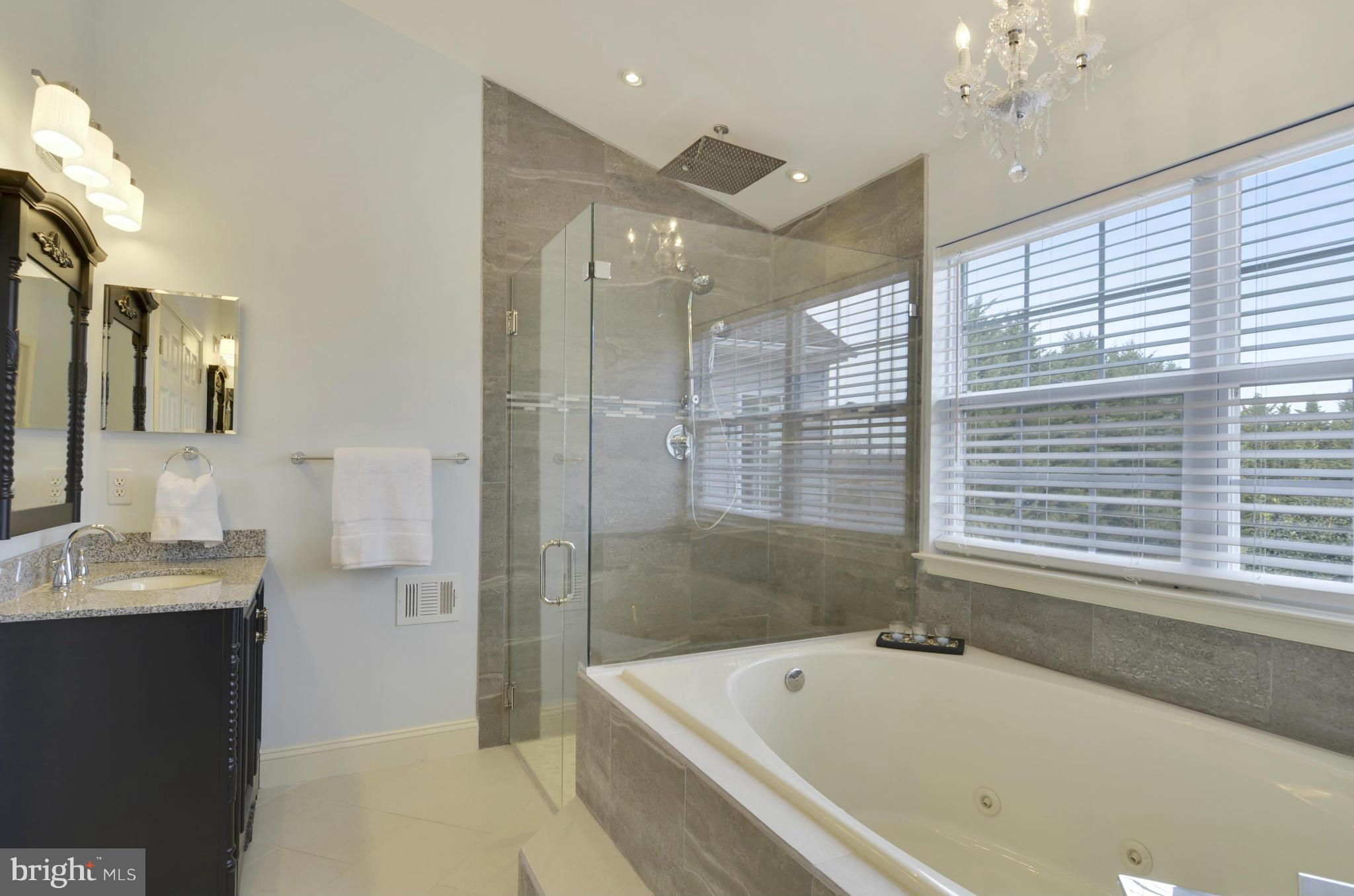 9633 Greenel Road Damascus, MD 20872 - Photo 18 of 30 Updated master bathroom