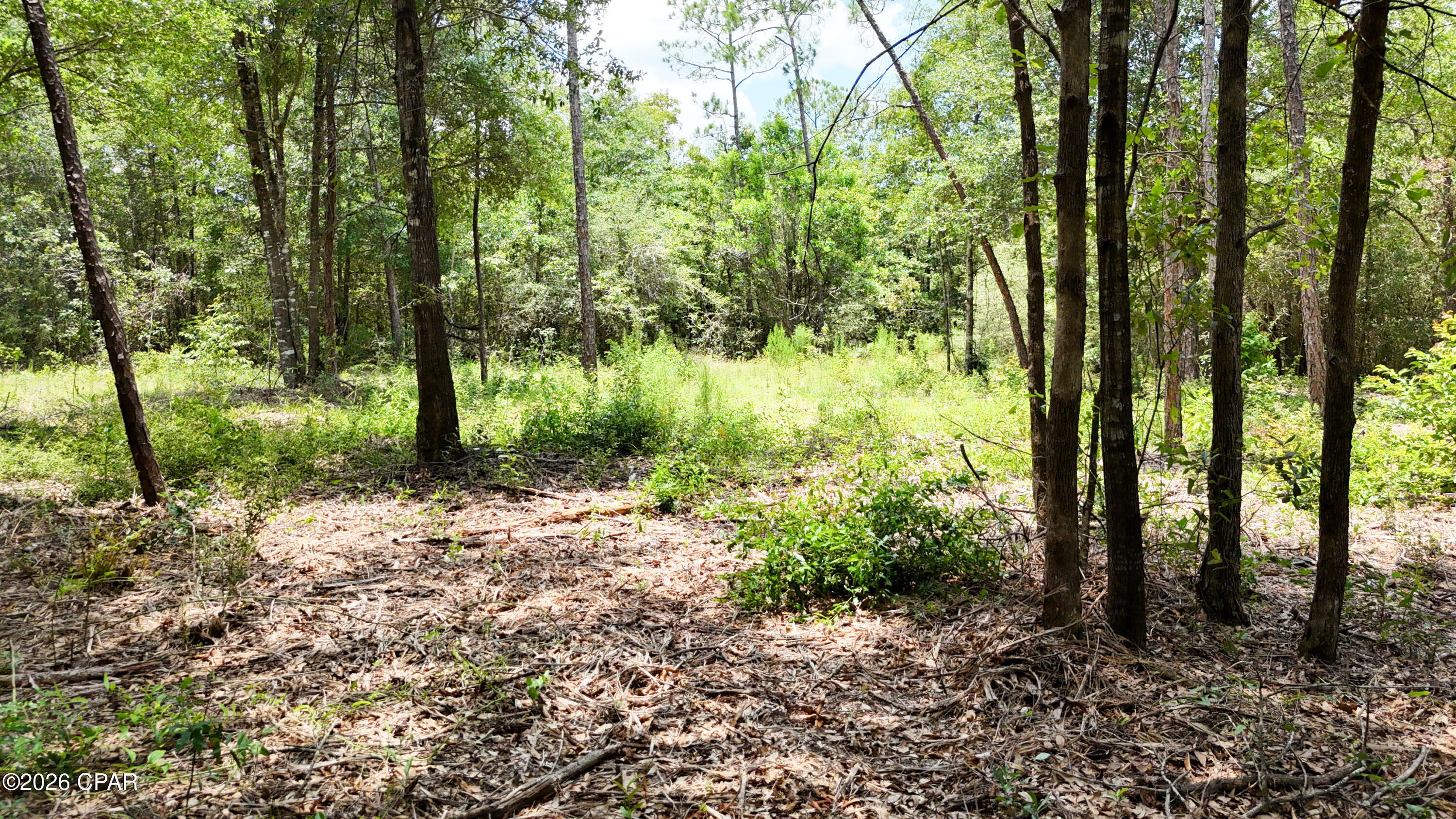 20429 Fettinger Road Fountain, FL 32438 - Photo 17 of 23 Gallery Image 17