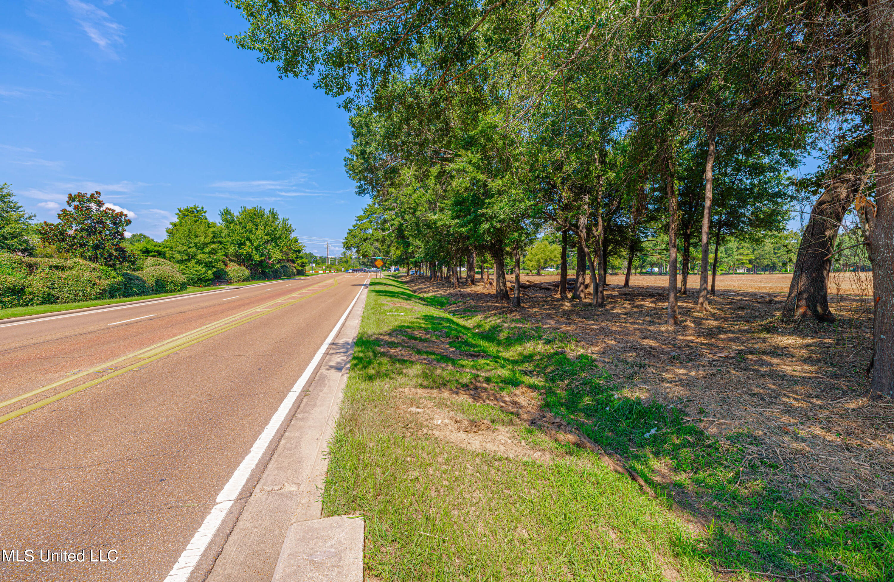 174 Catlett Road Gluckstadt, MS 39110 - Photo 11 of 17 1R4A2000