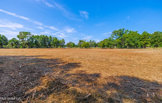 $2,711,986 | 174 Catlett Road, Gluckstadt, MS 39110