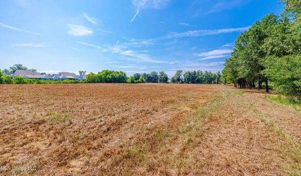 $2,711,986 | 174 Catlett Road, Gluckstadt, MS 39110