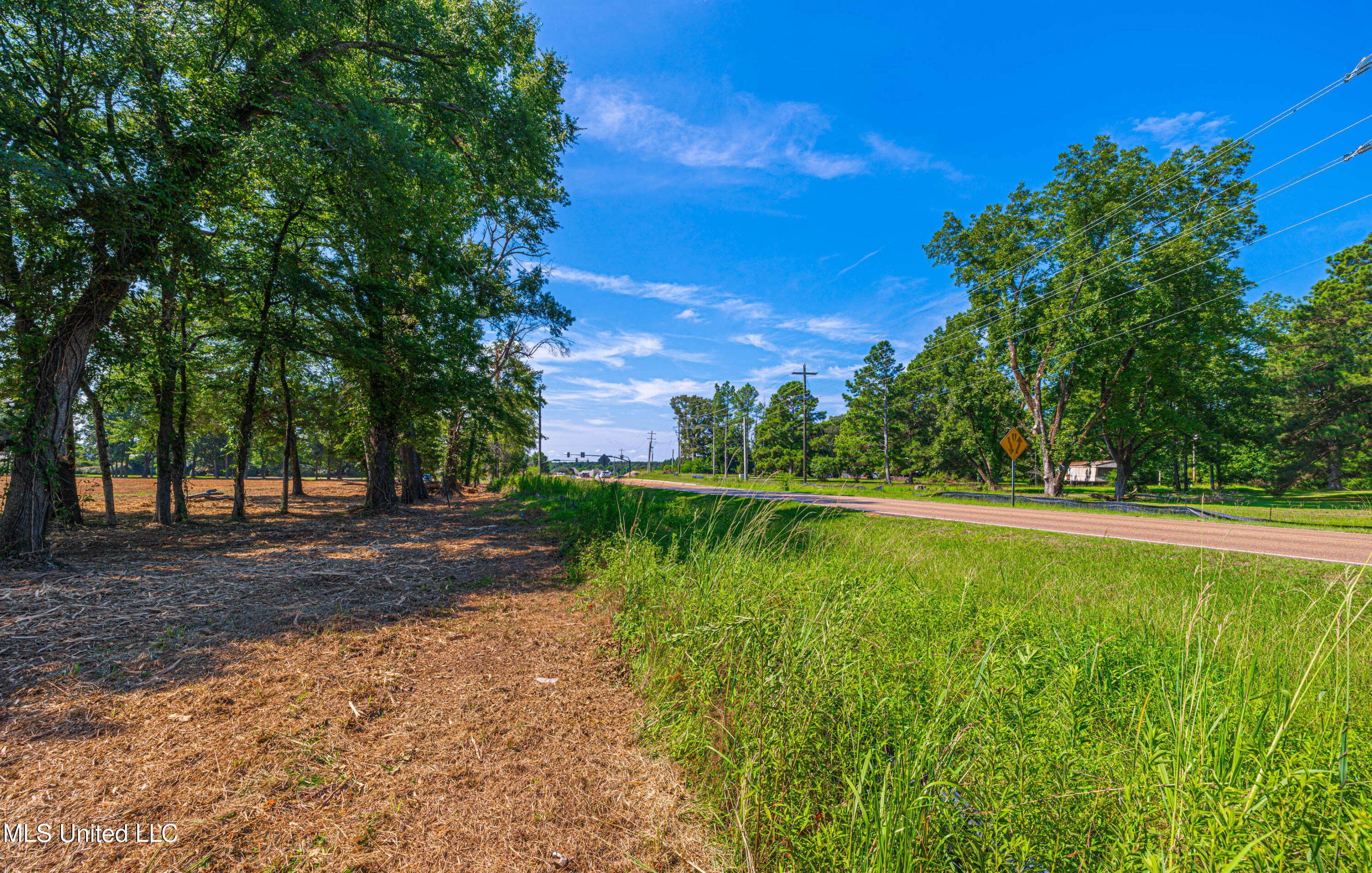 174 Catlett Road Gluckstadt, MS 39110 - Photo 16 of 17 1R4A1997