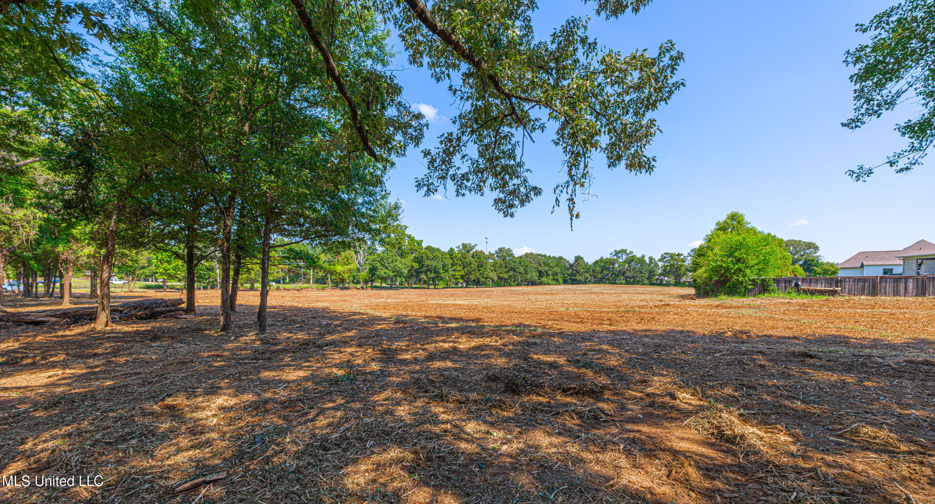 174 Catlett Road Gluckstadt, MS 39110 - Photo 17 of 17 1R4A1999