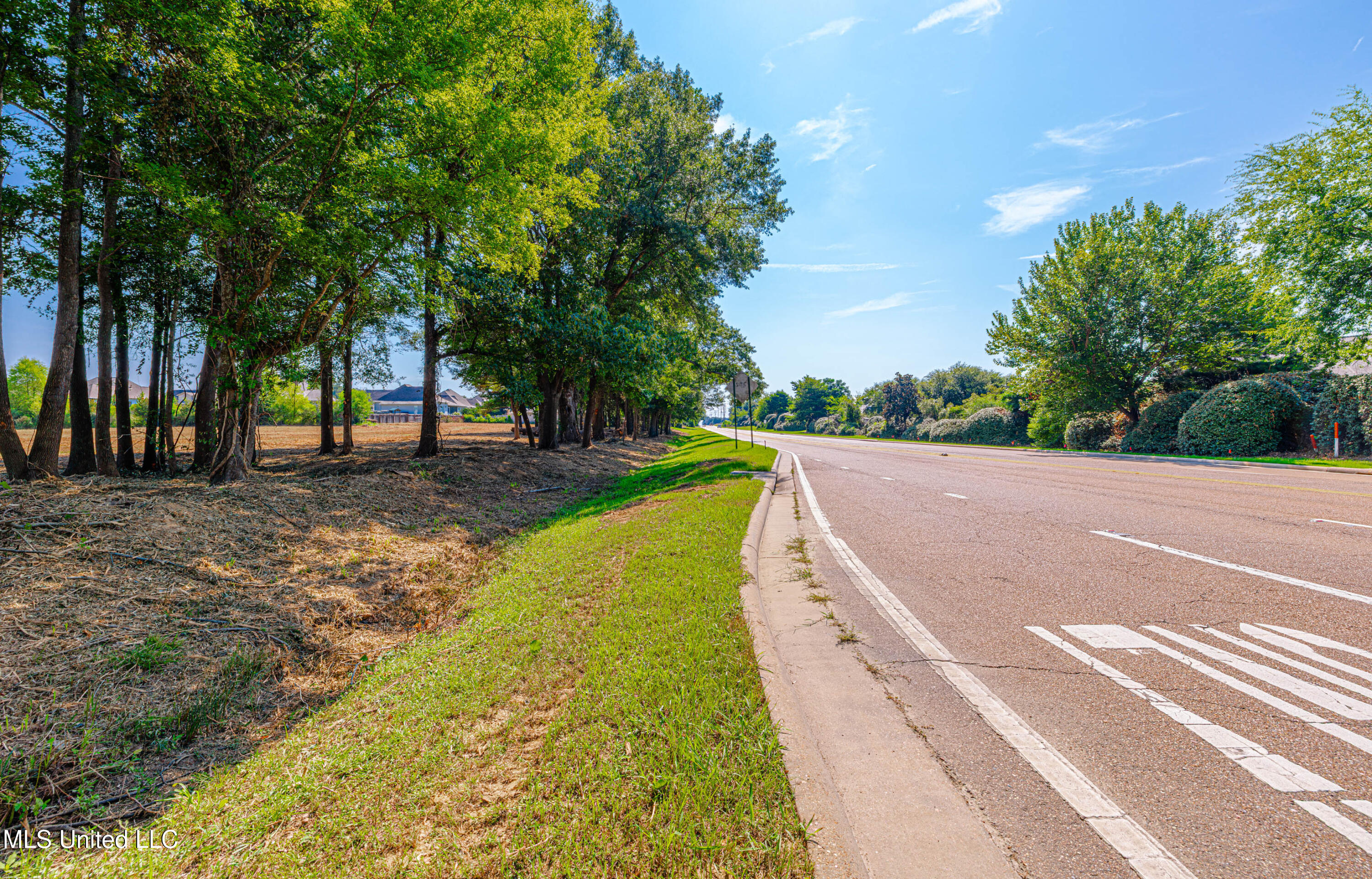 174 Catlett Road Gluckstadt, MS 39110 - Photo 9 of 17 1R4A1991