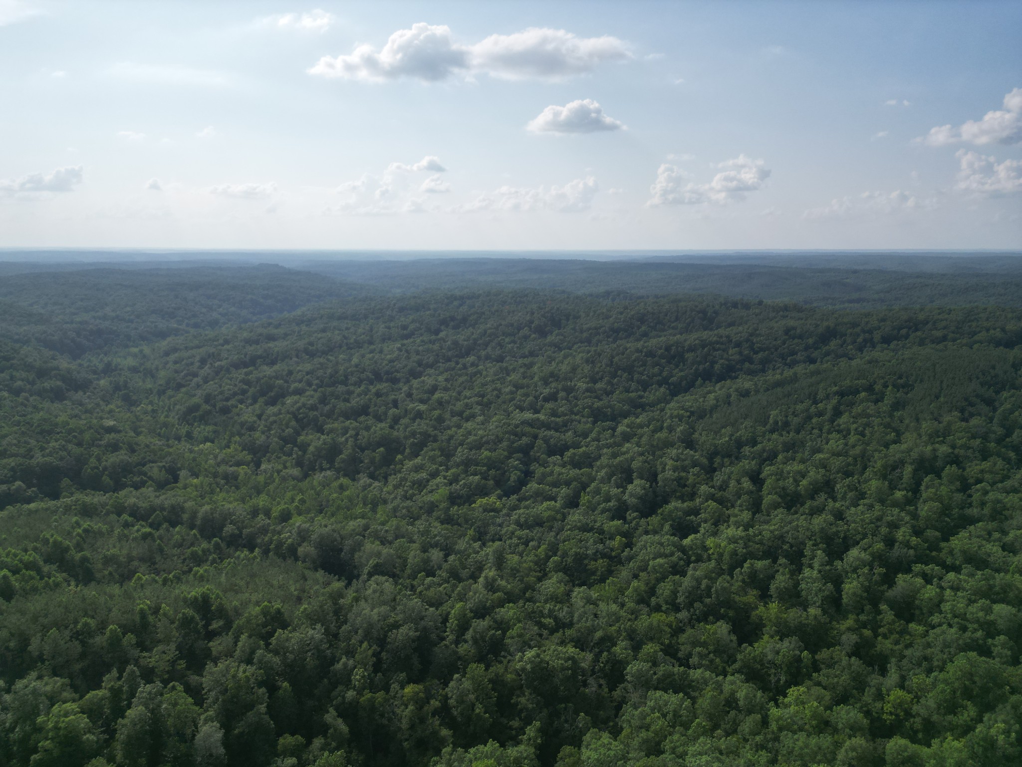 0 Toll Hollow Road Waynesboro, TN 38485 - Photo 36 of 43