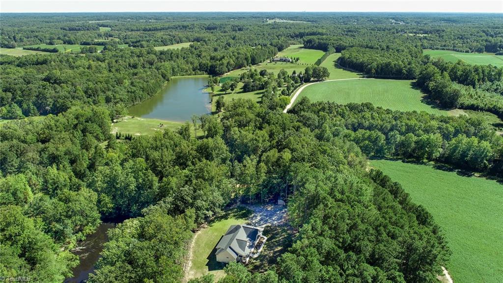 253 Pine Haven Road Reidsville, NC 27320 - Photo 3 of 47