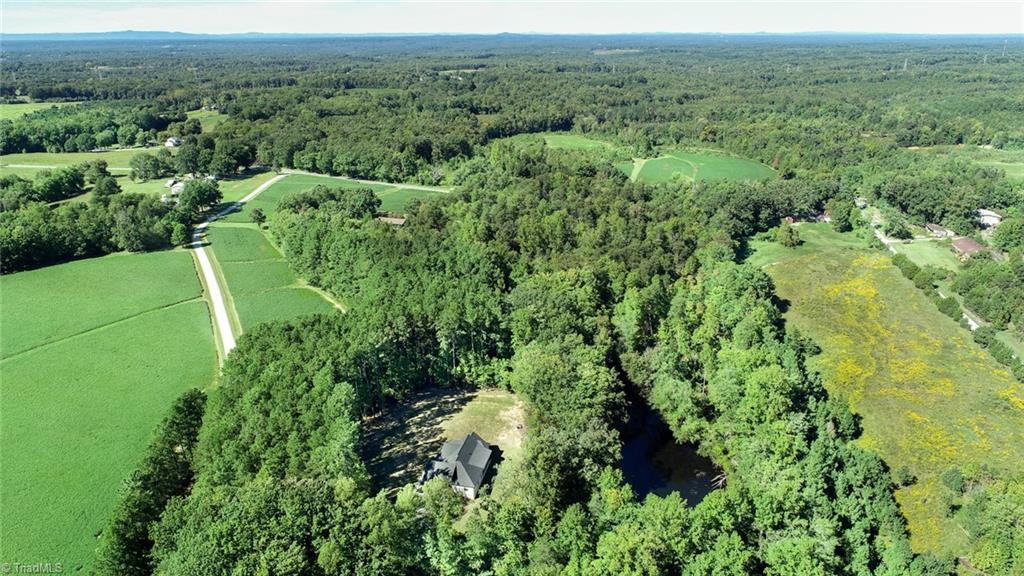 253 Pine Haven Road Reidsville, NC 27320 - Photo 4 of 47