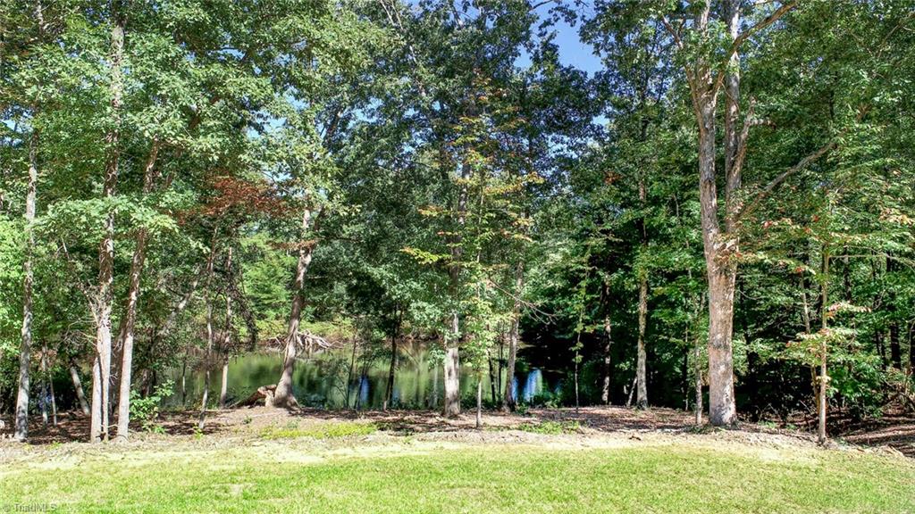 253 Pine Haven Road Reidsville, NC 27320 - Photo 46 of 47