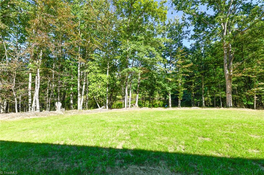 253 Pine Haven Road Reidsville, NC 27320 - Photo 47 of 47