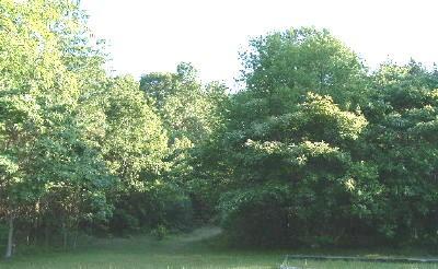 Vig Dr Spring Lake Spring Lake, MI 49456 - Photo 1 of 1 Primary Photo