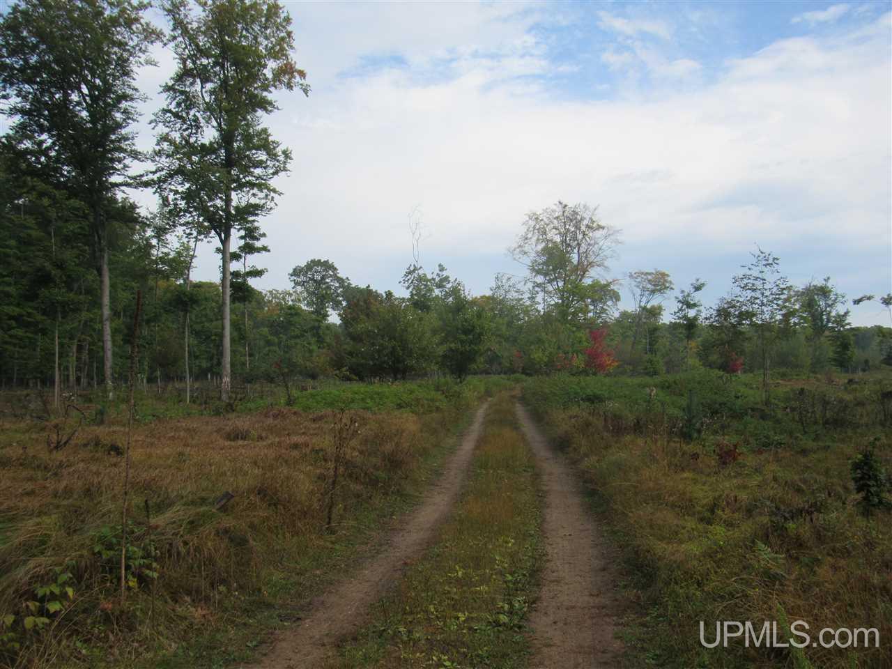 Tbd Ff Road, Unit 13A Garden, MI 49835 - Photo 4 of 8