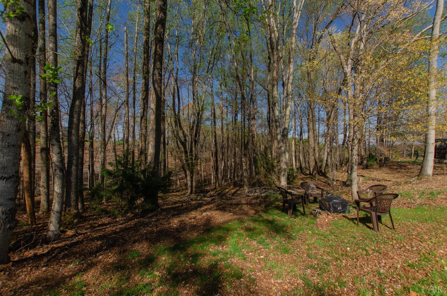 309 Lakeside Road Penhook, VA 24137 - Photo 53 of 61 a view of backyard with a white fence