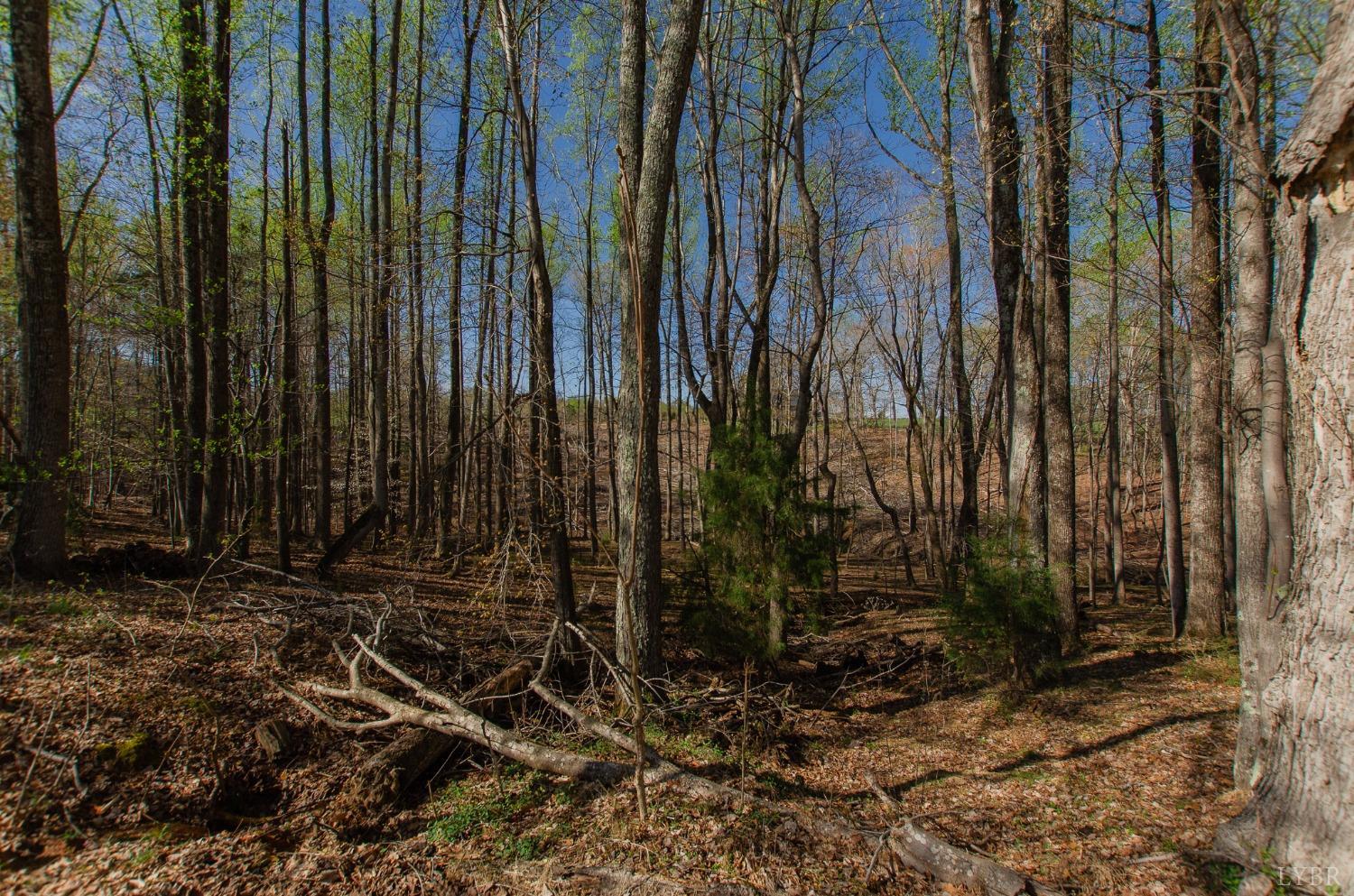 309 Lakeside Road Penhook, VA 24137 - Photo 54 of 61