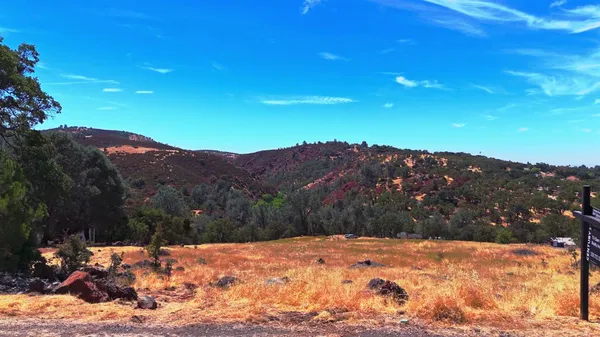 a outdoor view of a backyard