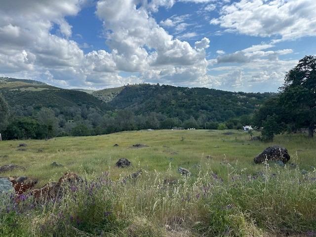 7033 Cane Lane Valley Springs, CA 95252 - Photo 3 of 14 a view of a field of grass and covered with lots of green space