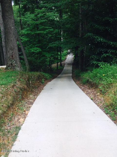 143 Furnace Branch Road Leitchfield, KY 42754 - Photo 3 of 27 3 dock path
