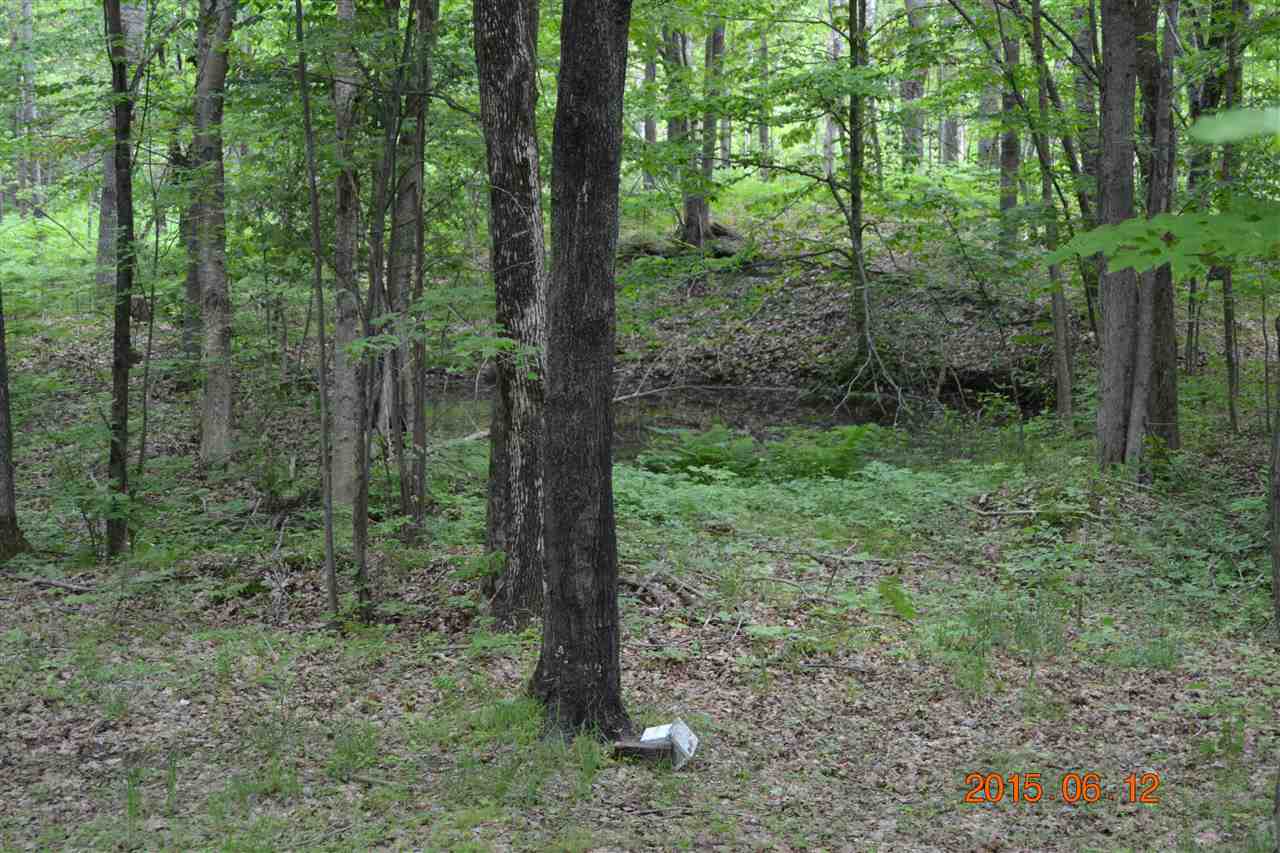 14640 Springdale Road Thompsonville, MI 49683 - Photo 7 of 36 1801564-8.JPG