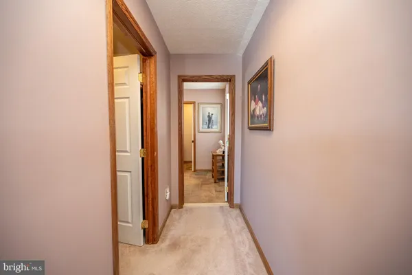a bathroom with a shower and a sink