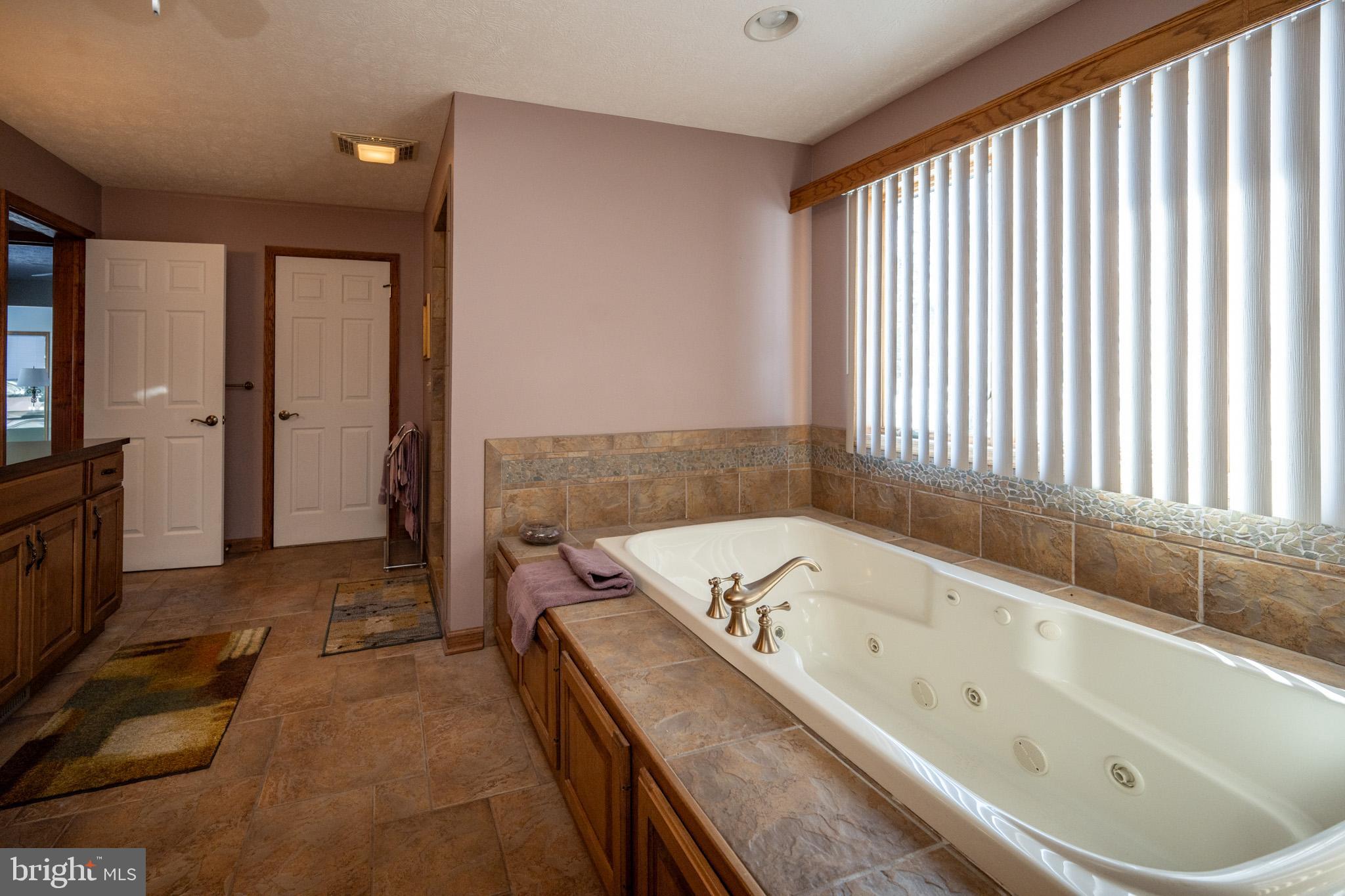 815 Chadderton School Road Oakland, MD 21550 - Photo 42 of 110 a bathroom with a tub a sink and a large window
