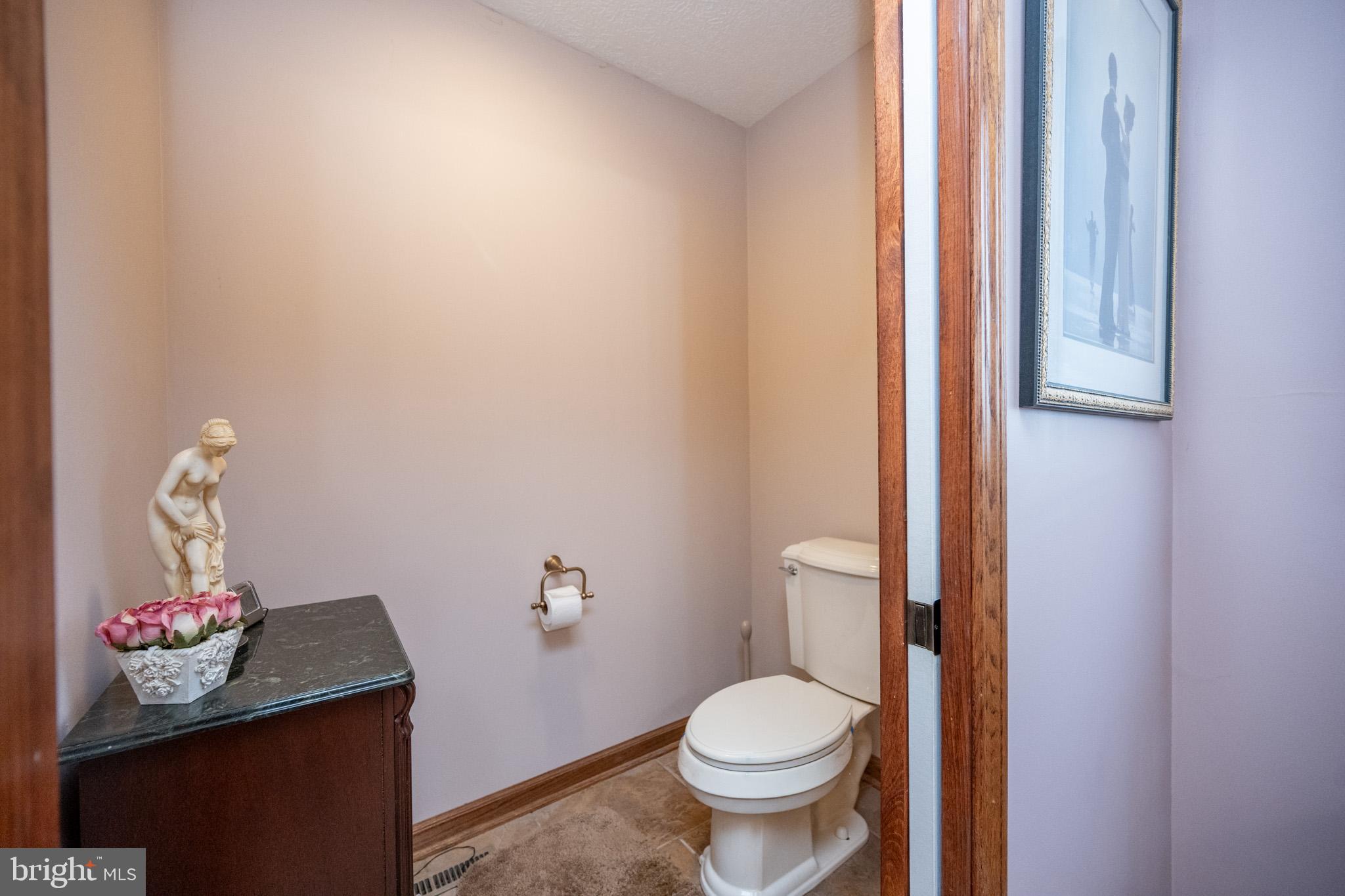 815 Chadderton School Road Oakland, MD 21550 - Photo 48 of 110 a bathroom with a toilet and a sink