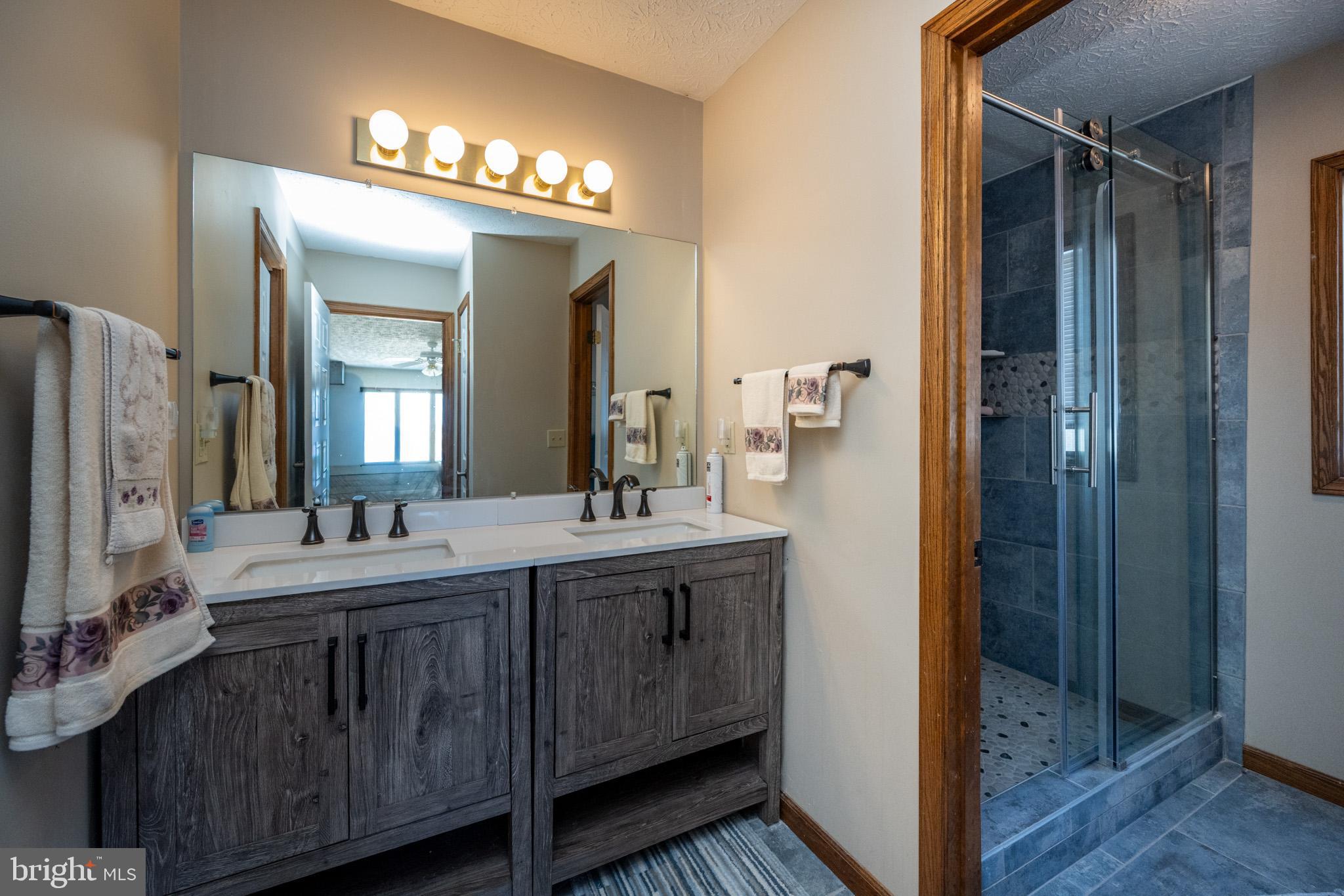 815 Chadderton School Road Oakland, MD 21550 - Photo 70 of 110 a bathroom with a double vanity sink and a mirror