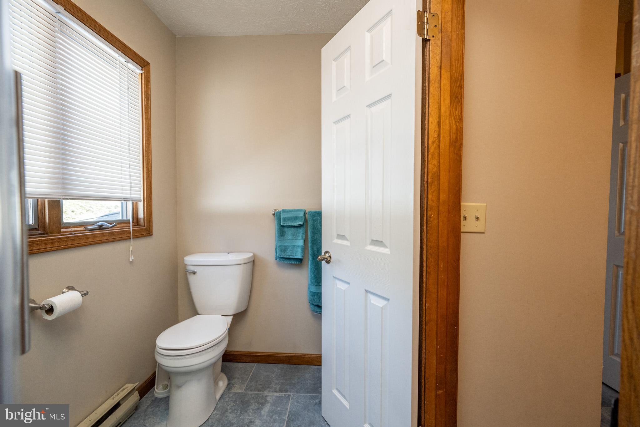 815 Chadderton School Road Oakland, MD 21550 - Photo 72 of 110 a bathroom with a toilet and a shower