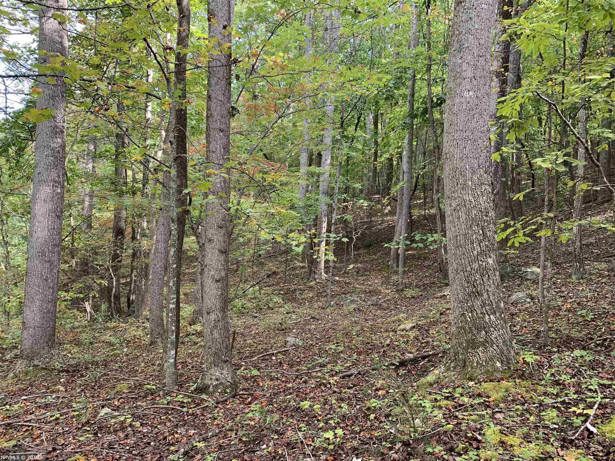 3182 North Fork Road Elliston, VA 24087 - Photo 16 of 19 Gallery Image 16