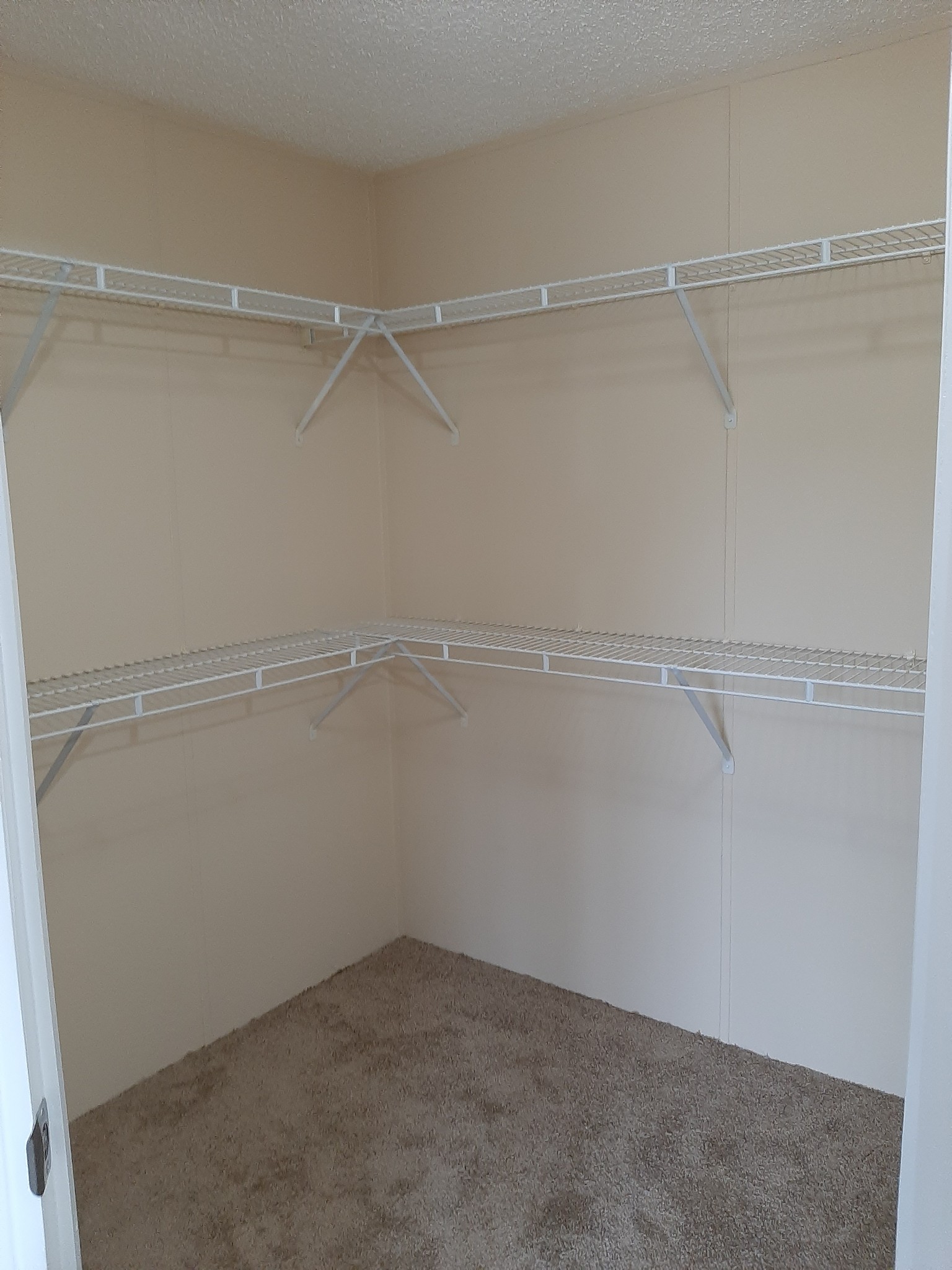 4354 Cainsville Road Lebanon, TN 37090 - Photo 16 of 26 a view of an empty walk in closet