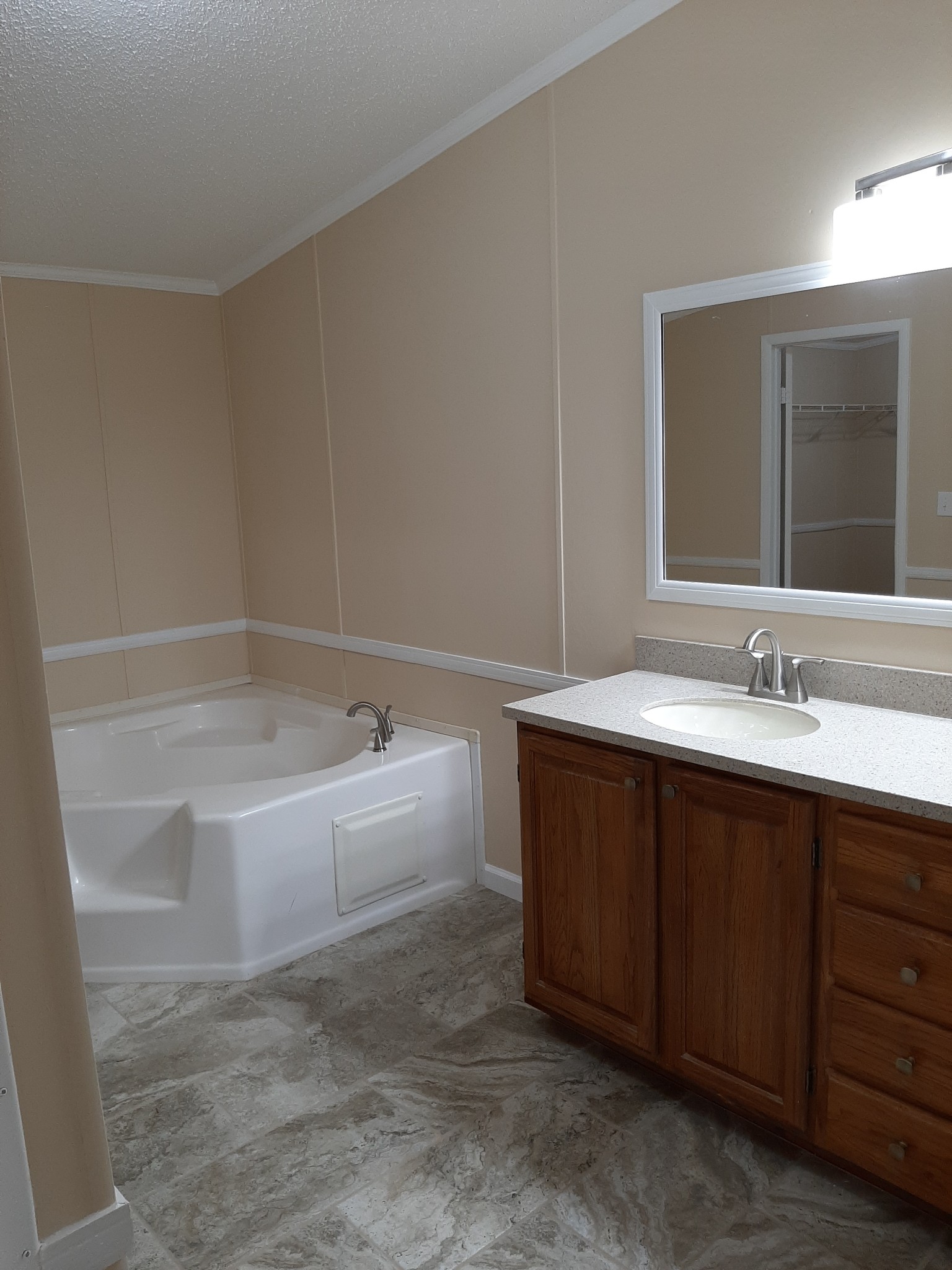 4354 Cainsville Road Lebanon, TN 37090 - Photo 5 of 26 a bathroom with a bathtub sink double vanity and mirror