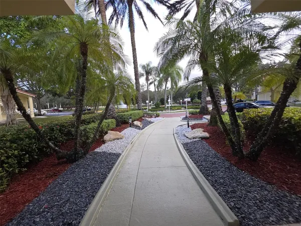 a view of park with tree s