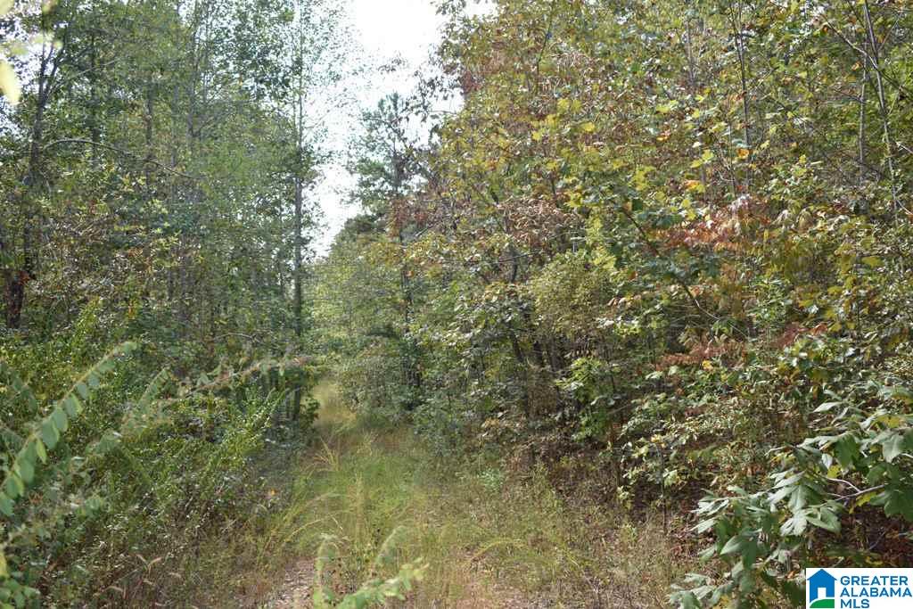 249 County Road, Unit 24 Wedowee, AL 36278 - Photo 2 of 5