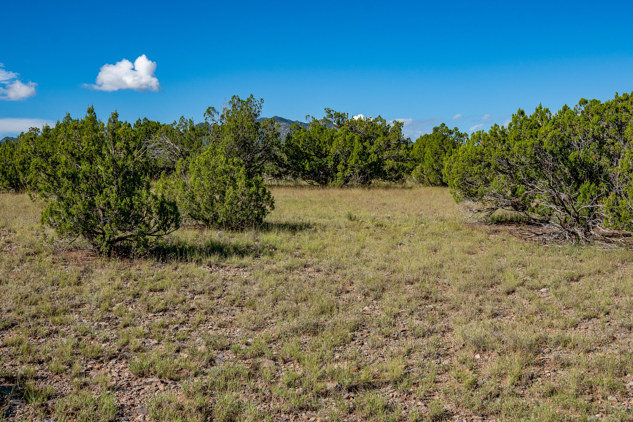 95 Grenfell Ranch Road Cerrillos, NM 87010 - Photo 40 of 47