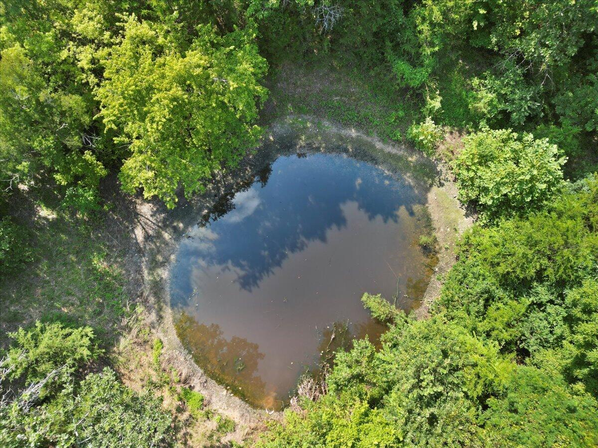 0 State Rte OO Caulfield, MO 65626 - Photo 3 of 24 05-DJI_0718