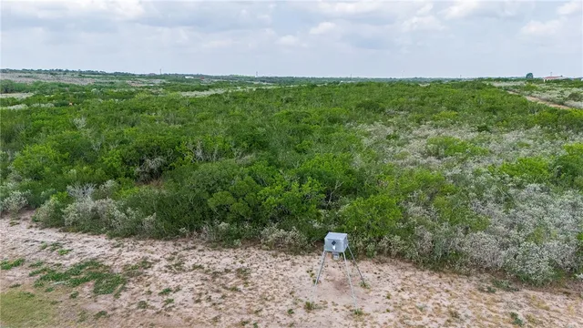 a view of a lush green forest with lots of trees