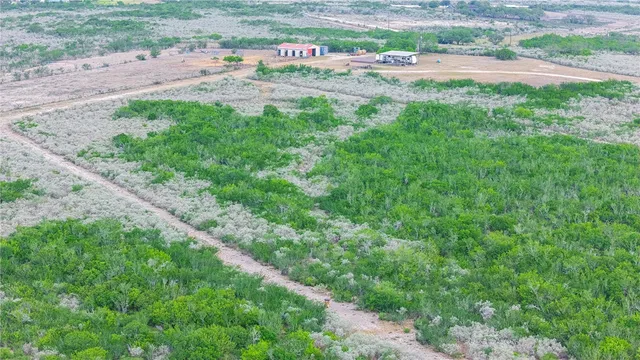 a view of a field with a tree in it