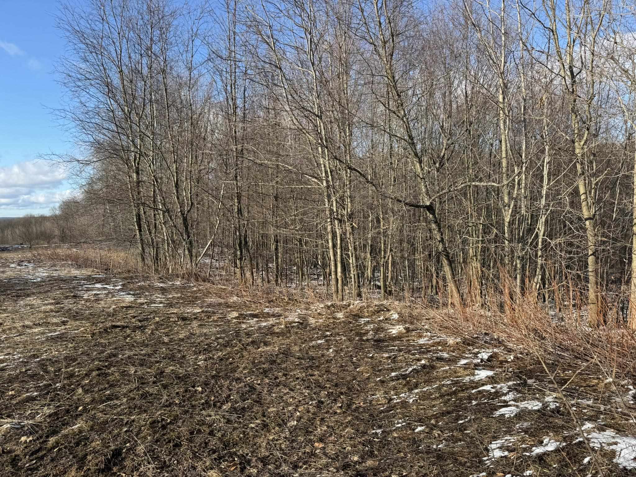 6503 Florey's Ranch Road Grawn, MI 49637 - Photo 11 of 20