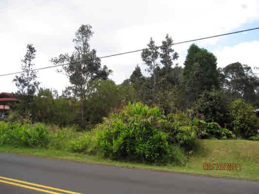 14 U Wright Road Volcano, HI 96785 - Photo 1 of 4 a view of a yard