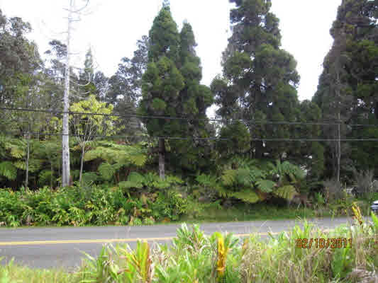 14 U Wright Road Volcano, HI 96785 - Photo 2 of 4 a view of a lake with a yard